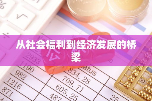 富平从社会福利到经济发展的桥梁