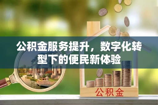 富平公积金服务提升，数字化转型下的便民新体验