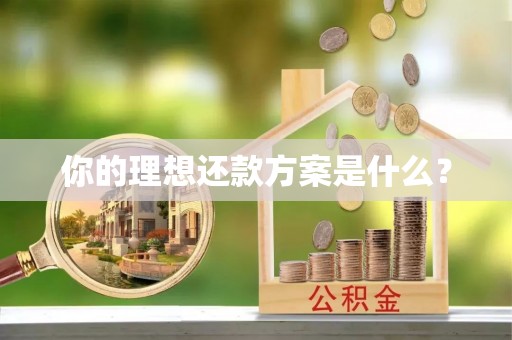 富平你的理想还款方案是什么？